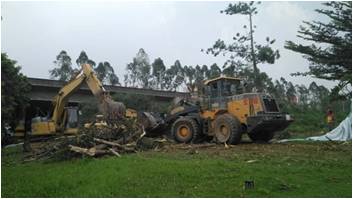 铲车和挖掘机配合将树木集中堆放运输.jpg